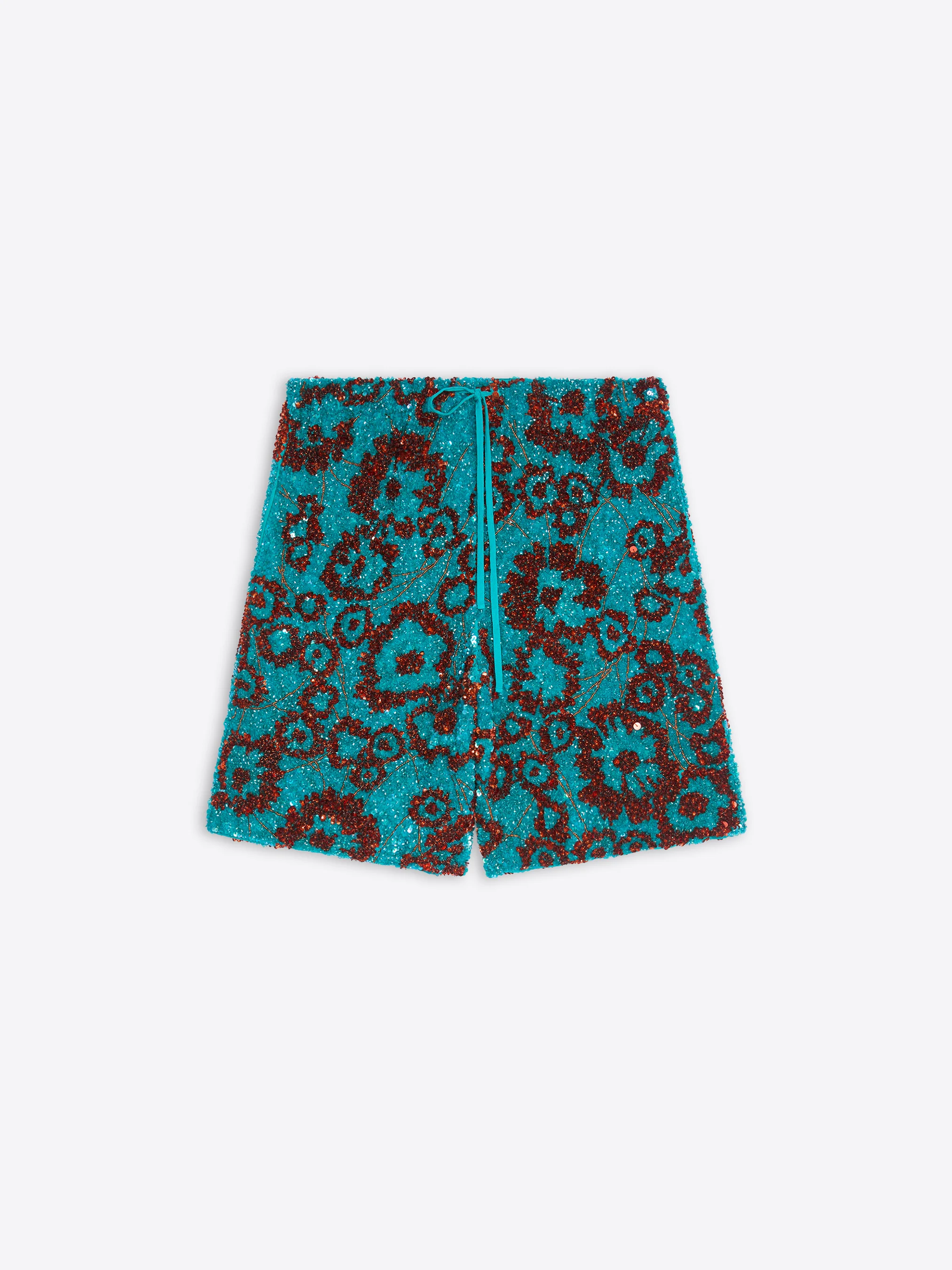 Embroidered shorts