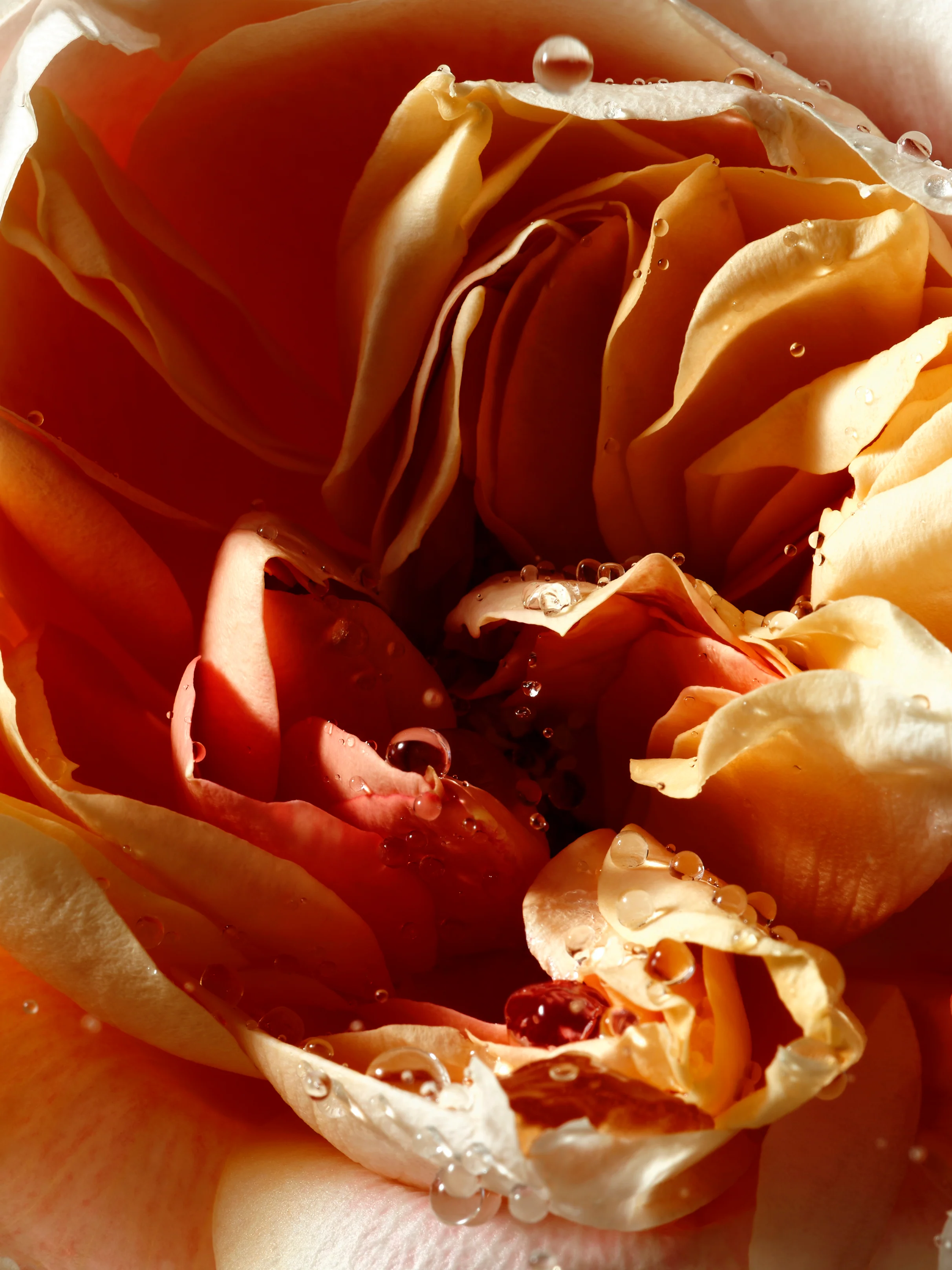 Pepper & Rose Liquid Soap